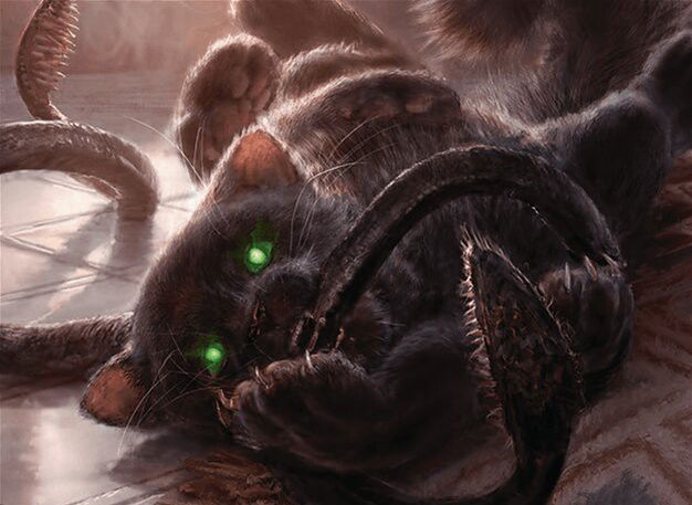 Displacer Kitten Crop image Wallpaper