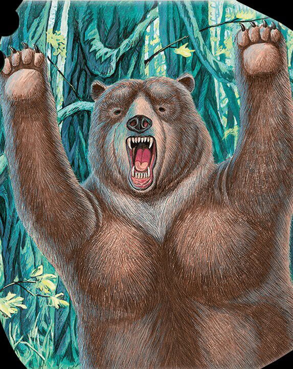 Forest Bear Crop image Wallpaper