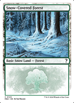 Snow-Covered Forest image