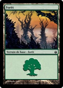 Forêt