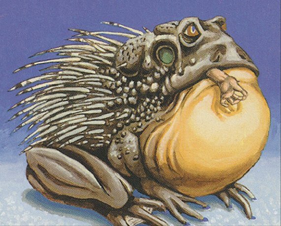 Chub Toad Crop image Wallpaper