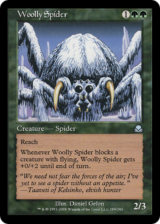 Woolly Spider image