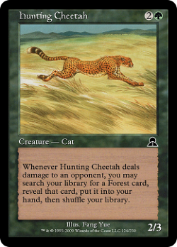 Cheetah chasseresse