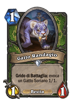 Gatto Randagio