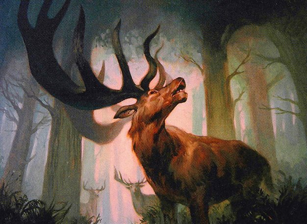 Bellowing Elk Crop image Wallpaper
