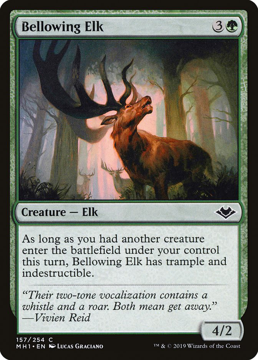 Bellowing Elk Full hd image