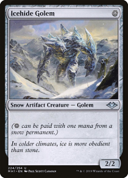 Icehide Golem image