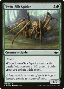 Twin-Silk Spider image