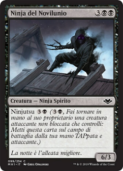 Ninja del Novilunio image