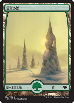 冠雪の森 image