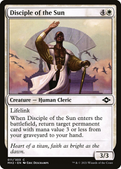 Disciple of the Sun image