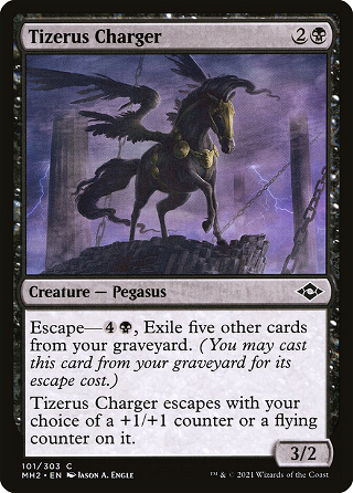 Tizerus Charger image