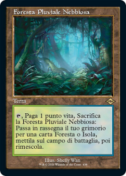 Foresta Pluviale Nebbiosa image