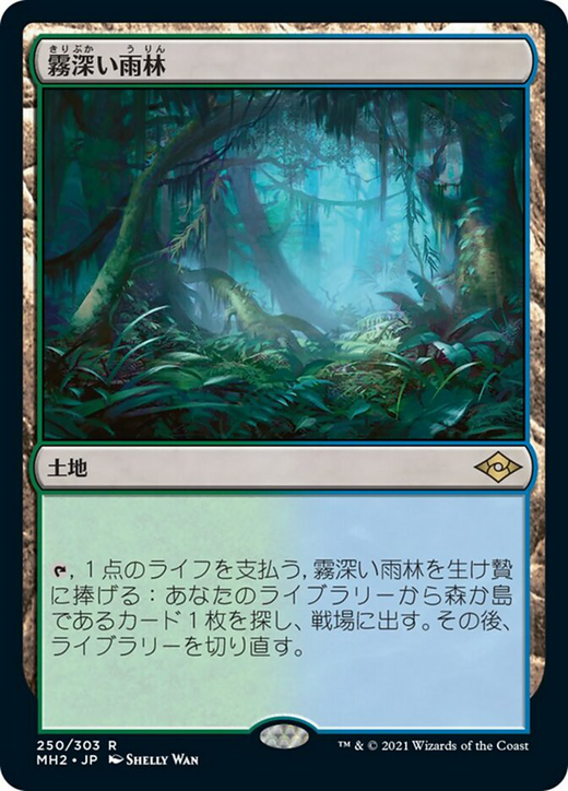 霧深い雨林 image