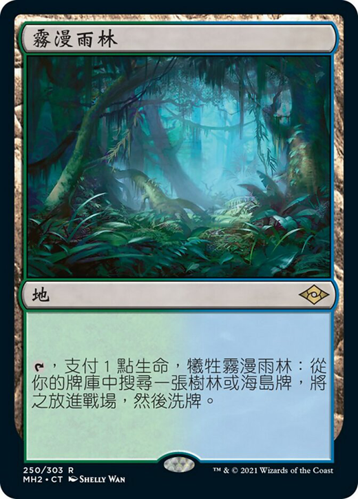 霧漫雨林 image