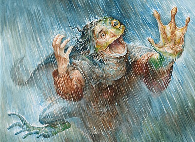 Amphibian Downpour Crop image Wallpaper