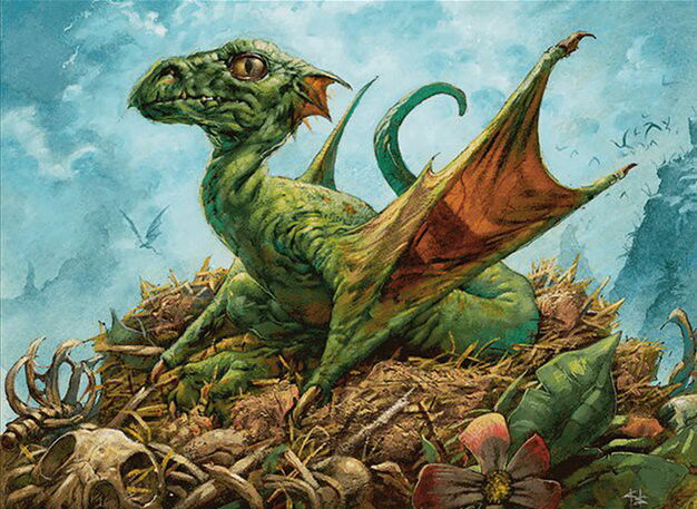 Fledgling Dragon Crop image Wallpaper