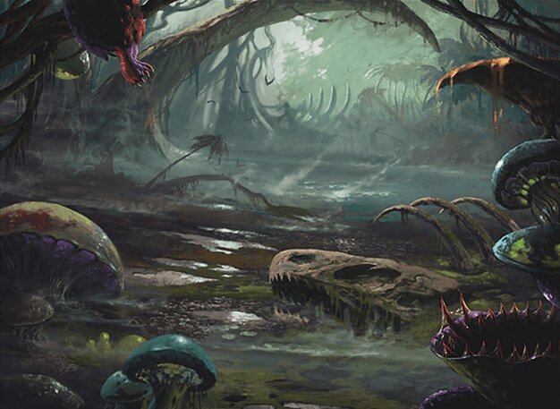 Swamp Crop image Wallpaper