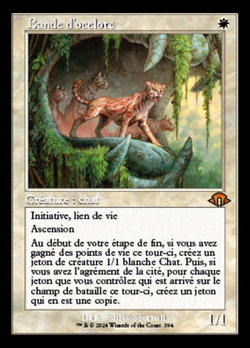 Bande d'ocelots image