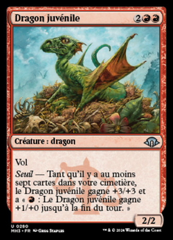 Dragon juvénile image