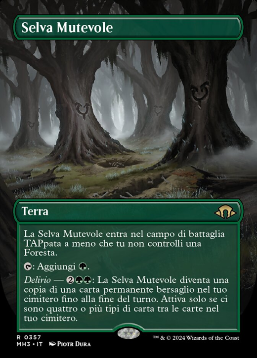 Shifting Woodland Full hd image