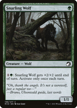 Snarling Wolf image