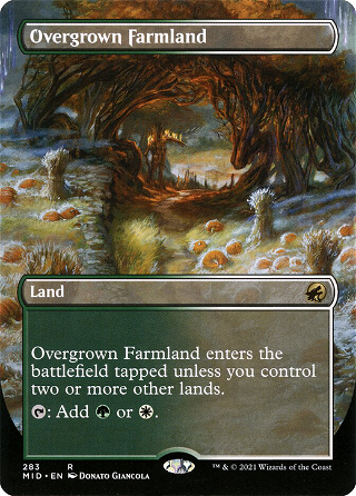 Overgrown Farmland image