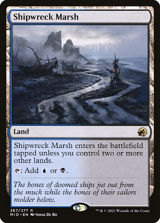 Shipwreck Marsh image