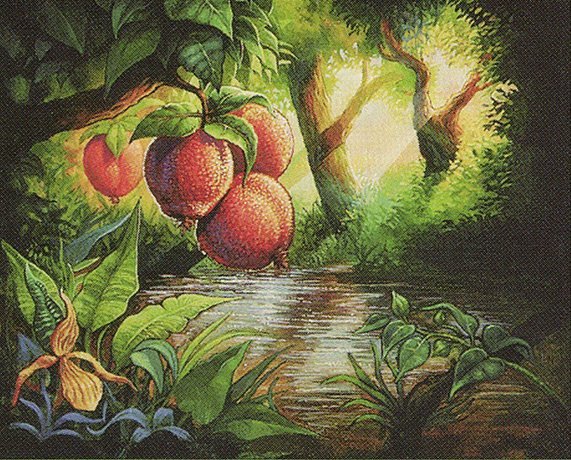 Afiya Grove Crop image Wallpaper