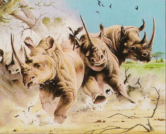 Crash of Rhinos Crop image Wallpaper