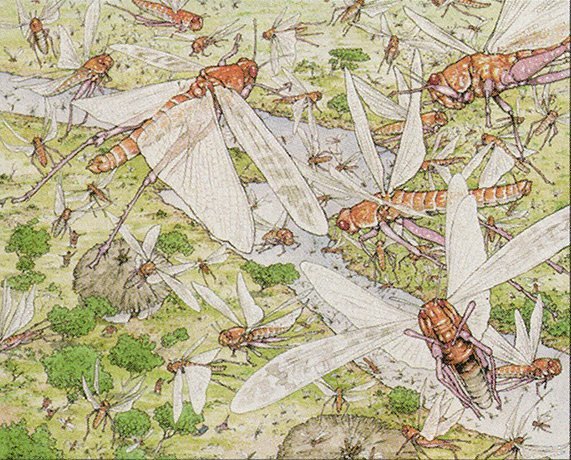 Locust Swarm Crop image Wallpaper