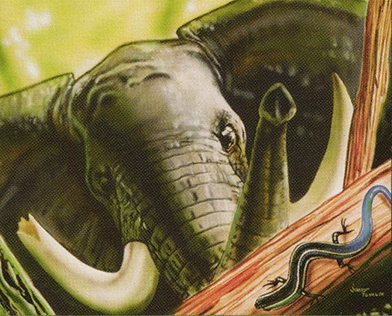 Wild Elephant Crop image Wallpaper