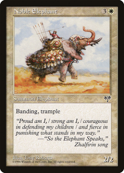 Noble Elephant image
