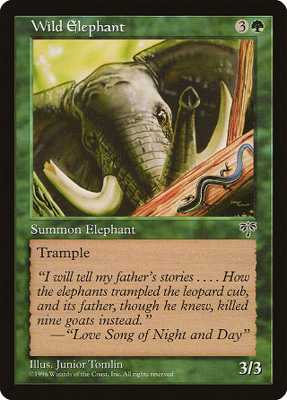 Wild Elephant image