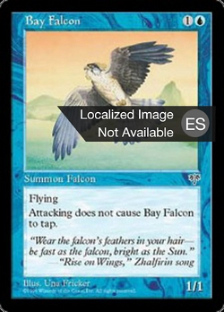 Bay Falcon image