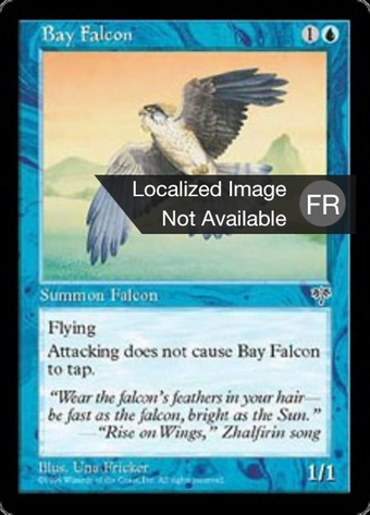 Bay Falcon Full hd image