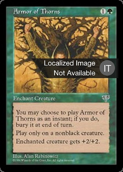Armor of Thorns image