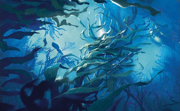 Tangletrove Kelp Crop image Wallpaper