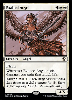 Exalted Angel - Возвышенный ангел