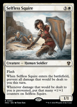 Selfless Squire image