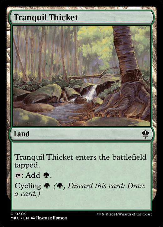 Tranquil Thicket Full hd image