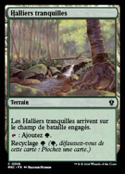 Halliers tranquilles image