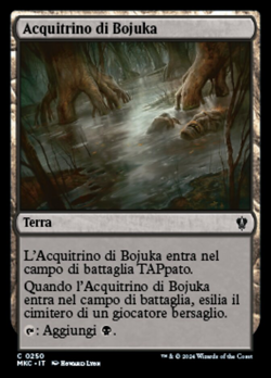 Acquitrino di Bojuka image