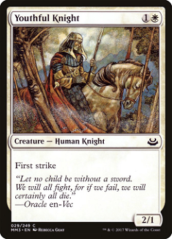 Youthful Knight image
