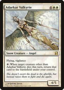 Adarkar Valkyrie image