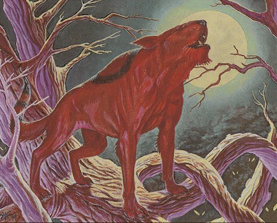 Howling Wolf Crop image Wallpaper