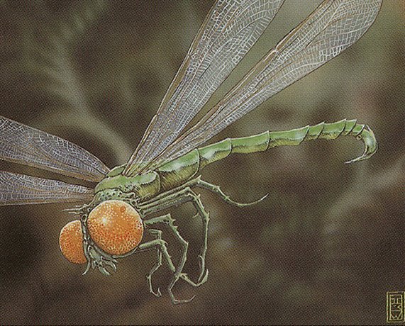 Venomous Dragonfly Crop image Wallpaper