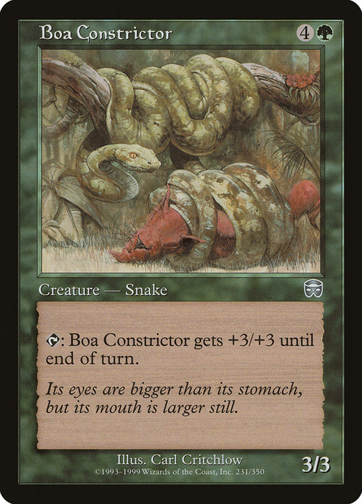 Boa Constrictor Full hd image