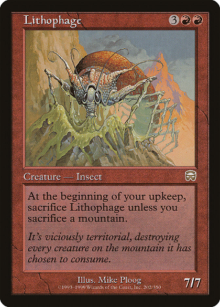 Lithophage image
