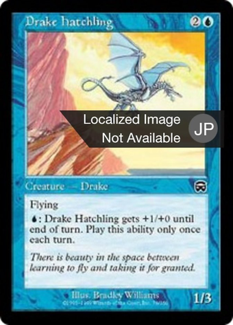 Drake Hatchling Full hd image